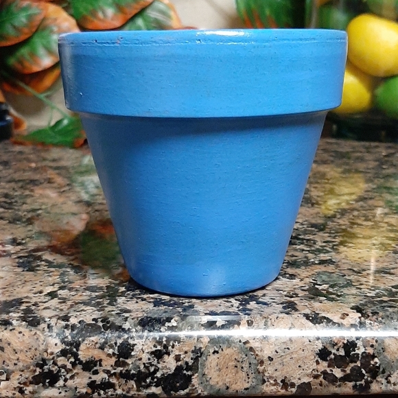 Succulent Planter - Picture 2 of 4